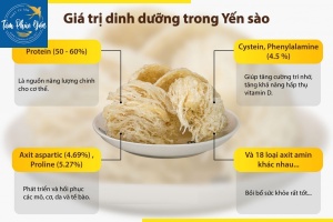 Các thành phần dinh dưỡng của yến sào vô cùng phong phú với hàm lượng protein cao, 18 loại acid amin cùng nhiều khoáng chất thiết yếu cho cơ thể.